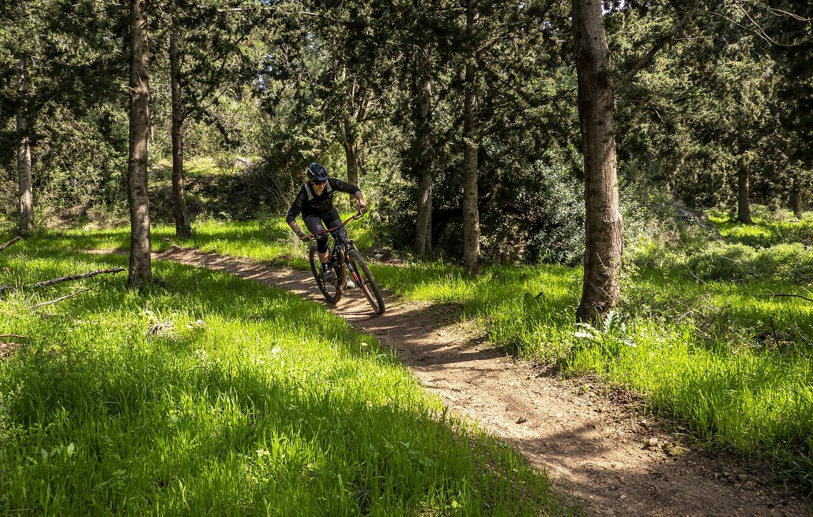 Zu Besuch in Nogas lokalem Bikepark, dem Misgav Trailpark