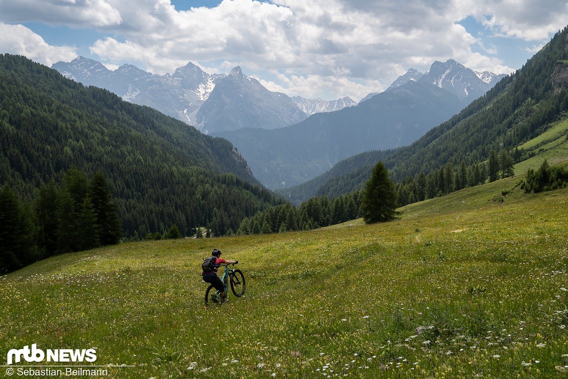Der Trail führt durch Alpenwiesen im Val Tasna, die in voller Blüte stehen.