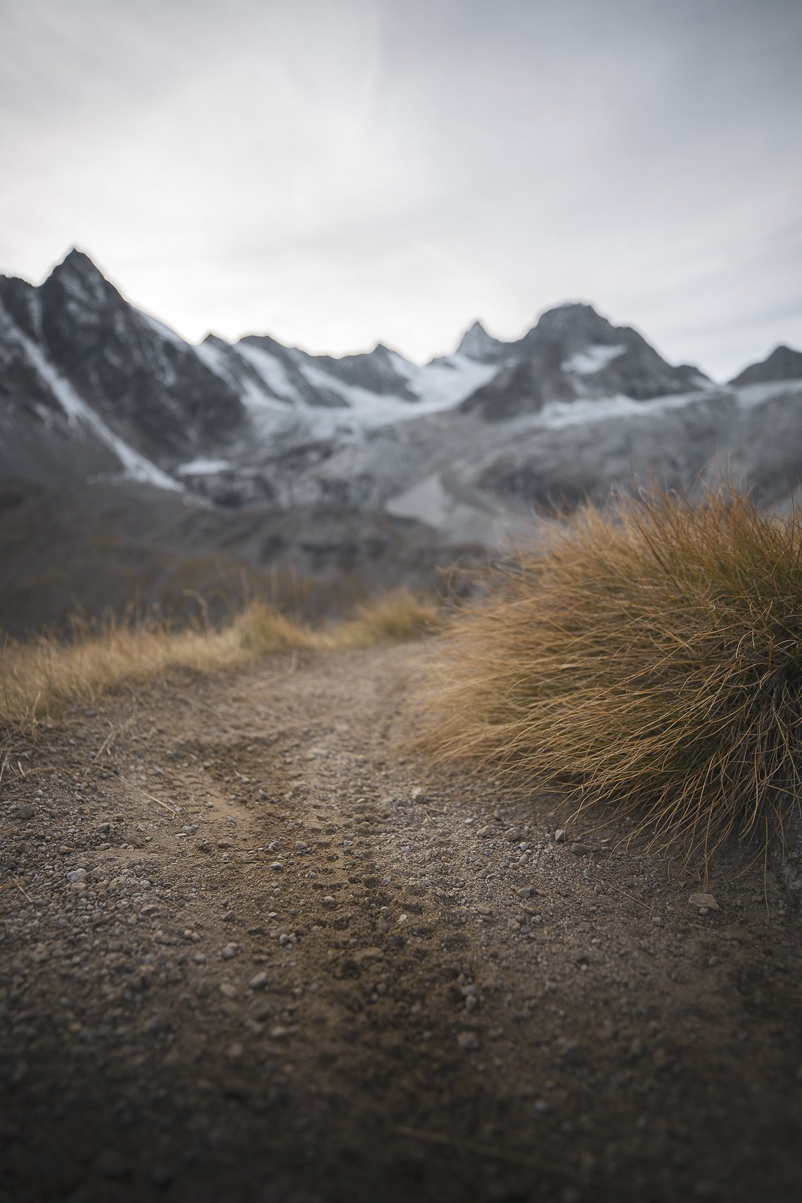 Auch wir hinterlassen ein paar Spuren auf den ausgetretenen Wanderwegen
