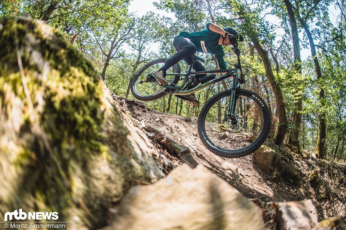 marin-rift-zone-
