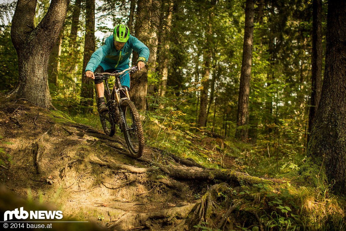 Vom wurzligen Wald-Singletrail...