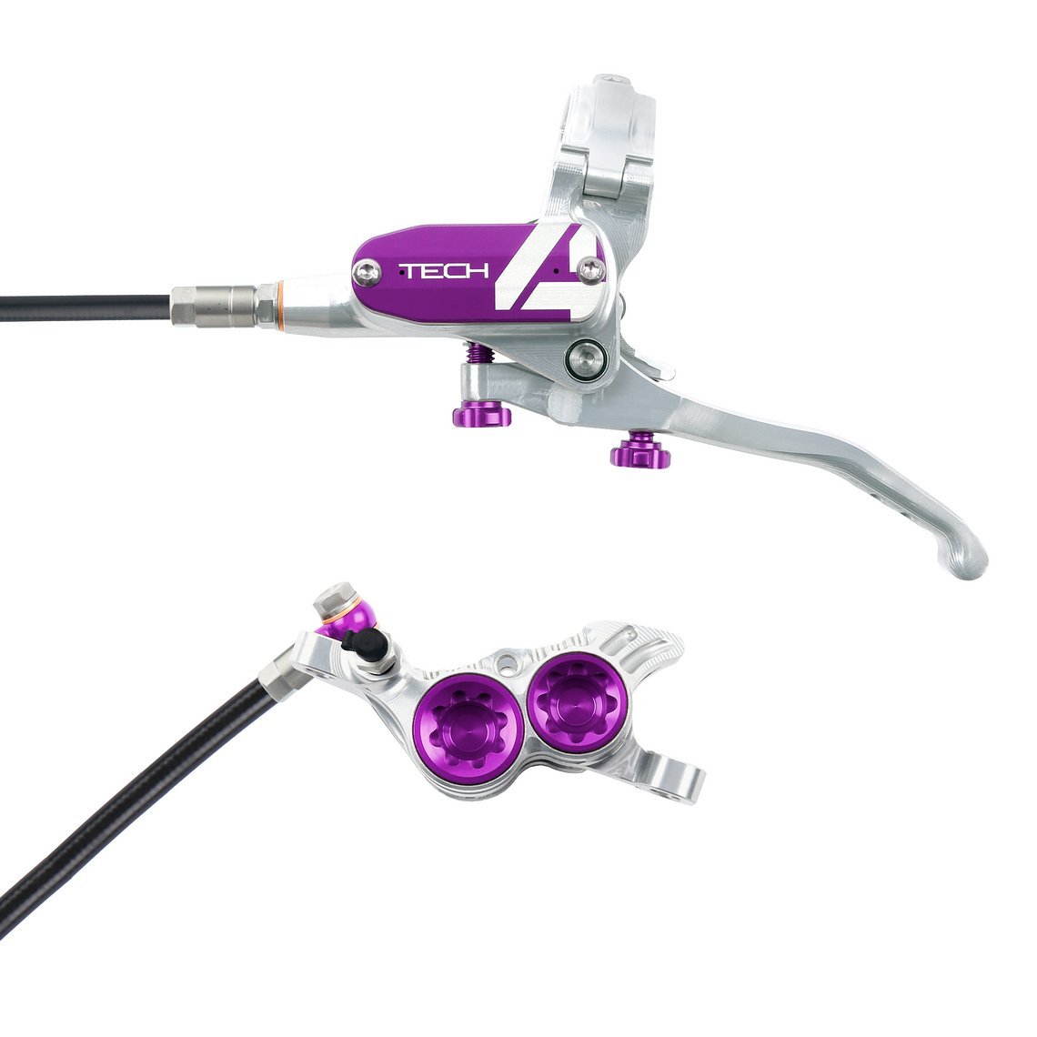 WEB SILVER PURPLE T4 V4