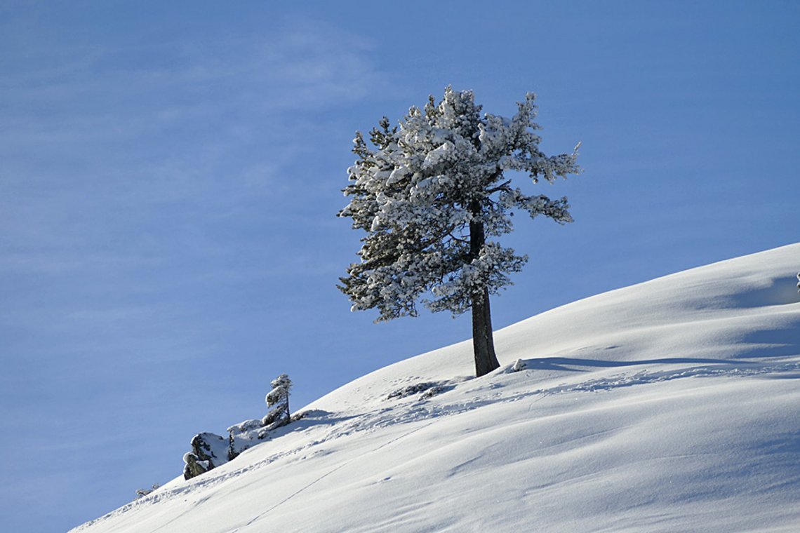 Winterlicher Pulverquickie auf dem Weg ins Wochenende; wg. erratischer Schneelage nur bergauf heizen ;)