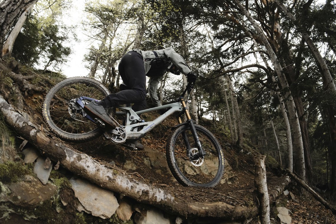 roofowler RZ96279