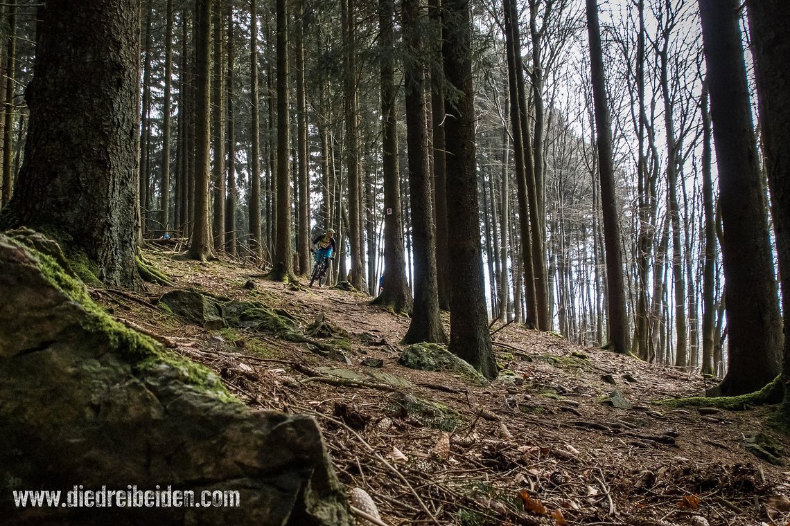 Trails Trails Trails