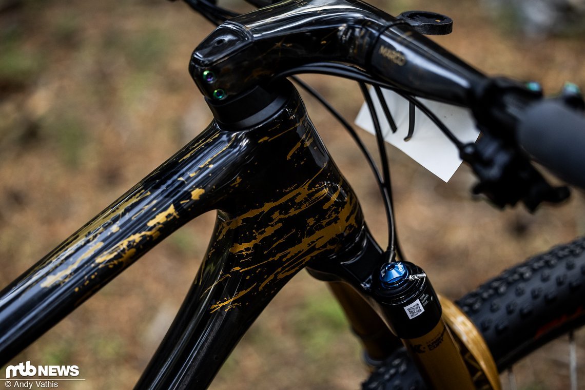 MTBNews