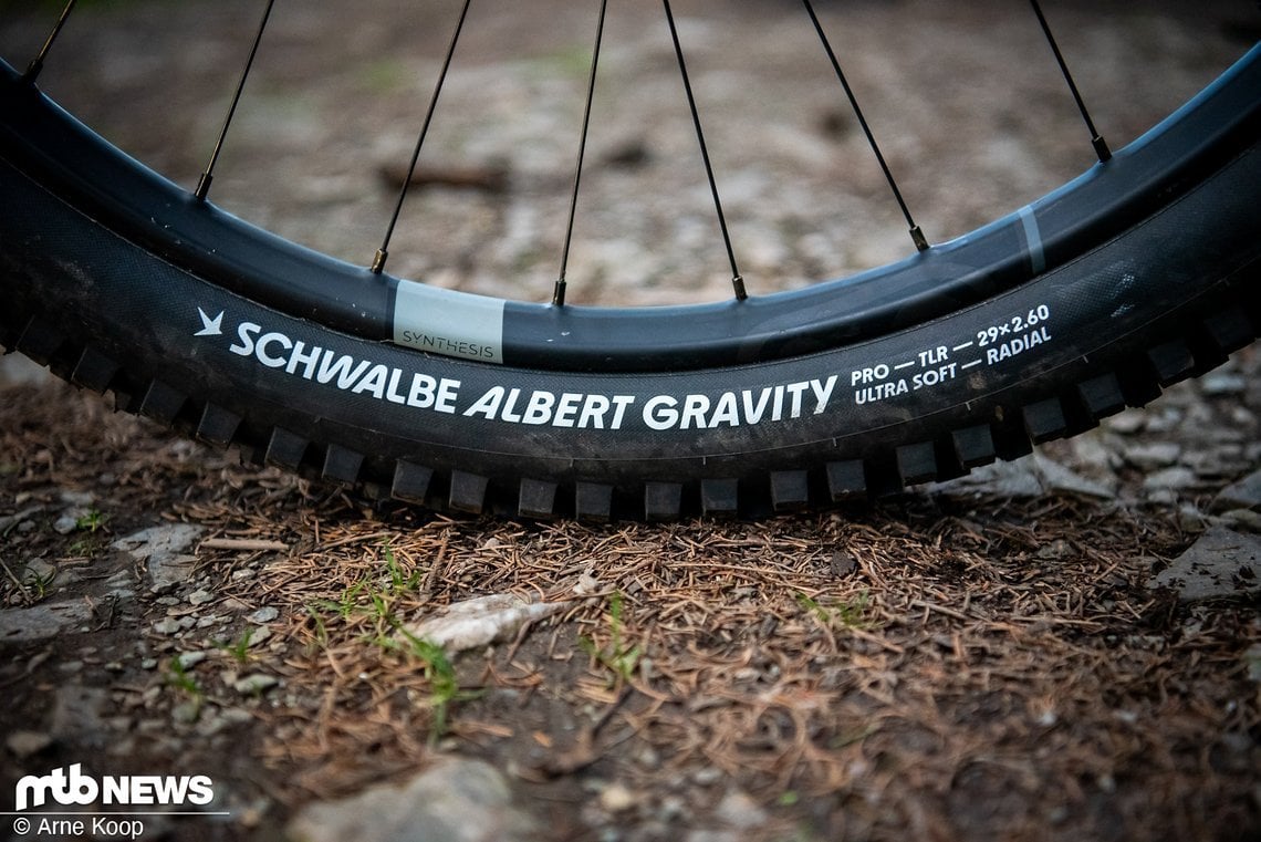 Der neue Schwalbe Albert ist nicht einfach nur ein gewöhnlicher neuer Reifen mit frischem Profil