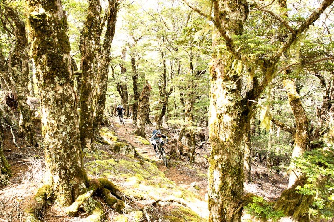 Von hier ging es auf einem zunächst extrem schnellen Trail bergab