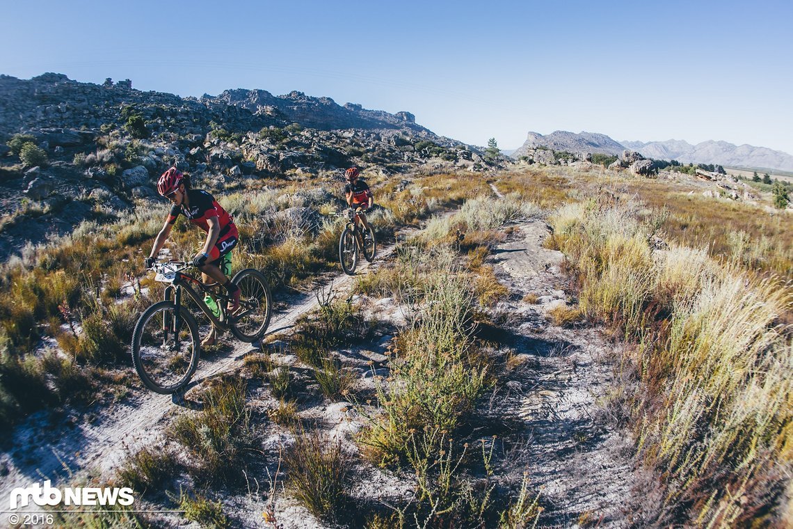 Team Spur-Specialized