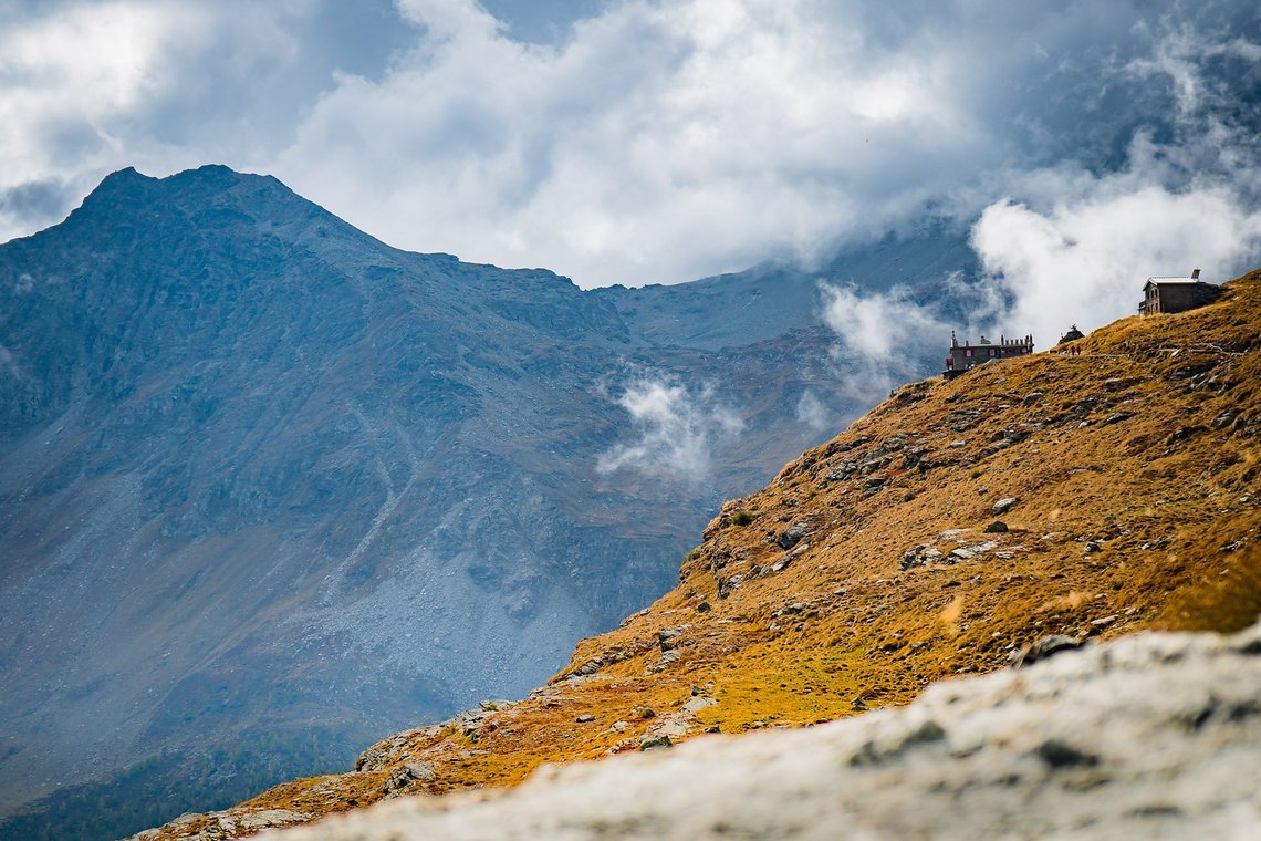 bernina