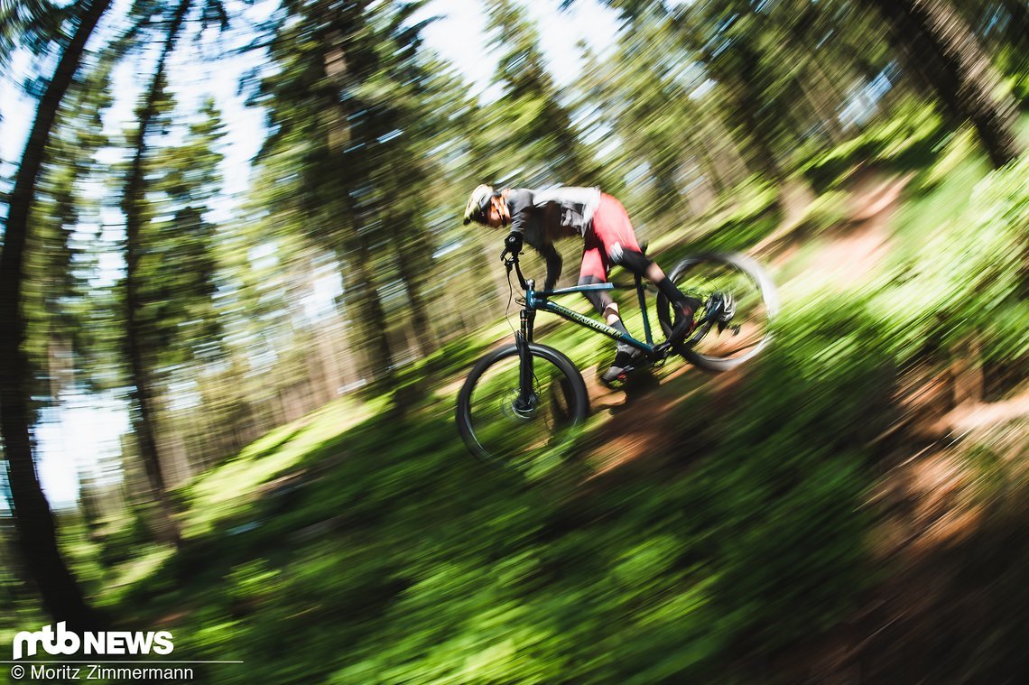 Das Decathlon ist das einzige Bike im Test, das noch günstiger ist.