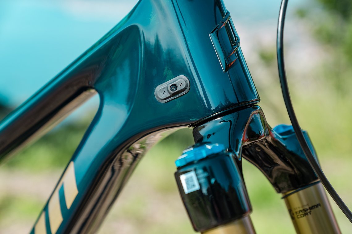 PP-Tyee-Product-MY25-eignerframes DSC6647