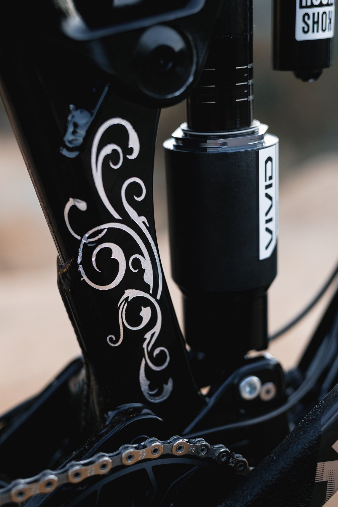 Mit dem RockShox Vivid ...