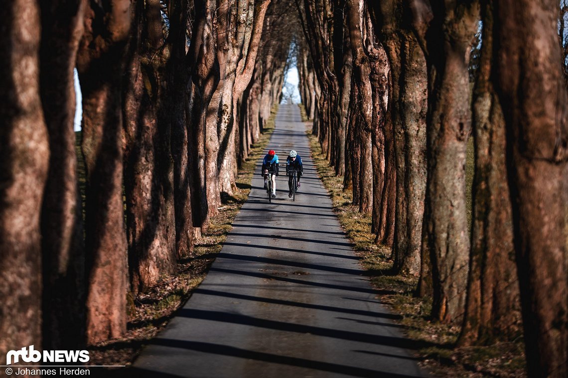 An diesem Foto vom gleichen Tag gefällt mir insbesondere die Symmetrie dieser wunderschönen Allee.
