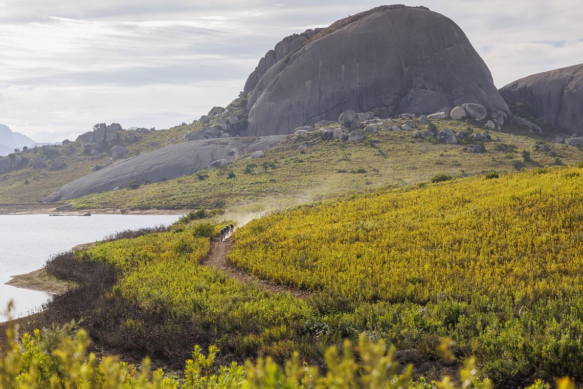 riders during Stage 4 of the 2025 Absa Cape Epic Mountain Bike stage race held at Fairview, Paarl, Cape Town, South Africa on the 20th March 2025. Photo by Sam Clark/Cape Epic
PLEASE ENSURE THE APPROPRIATE CREDIT IS GIVEN TO THE PHOTOGRAPHER AND ABSA