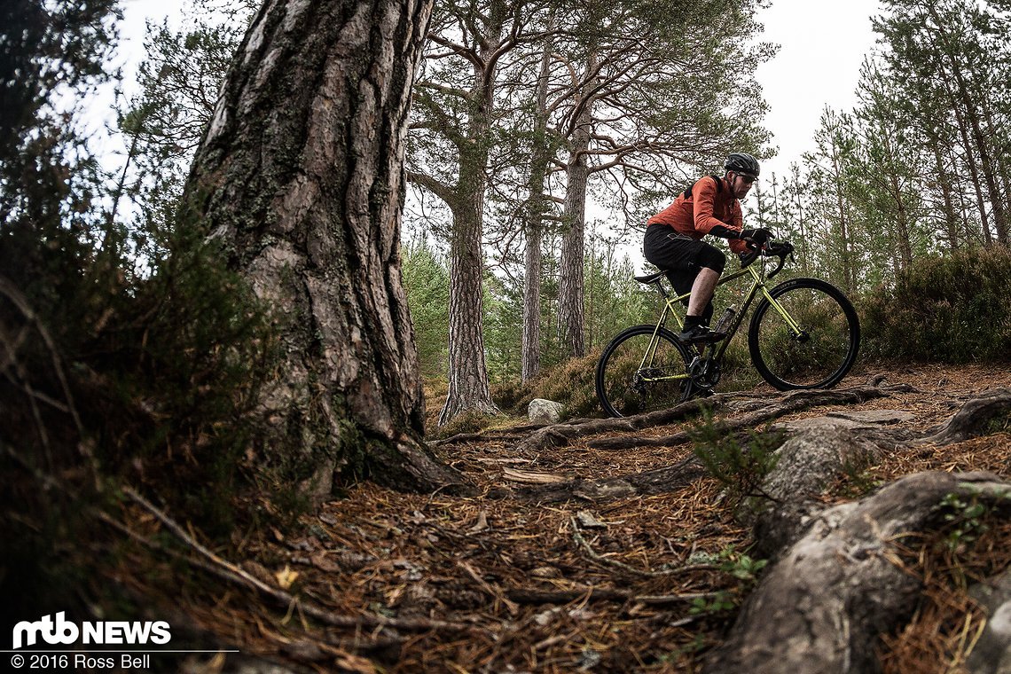 Teilweise sind die Trails auch mit dem Cyclocrosser gut zu befahren.