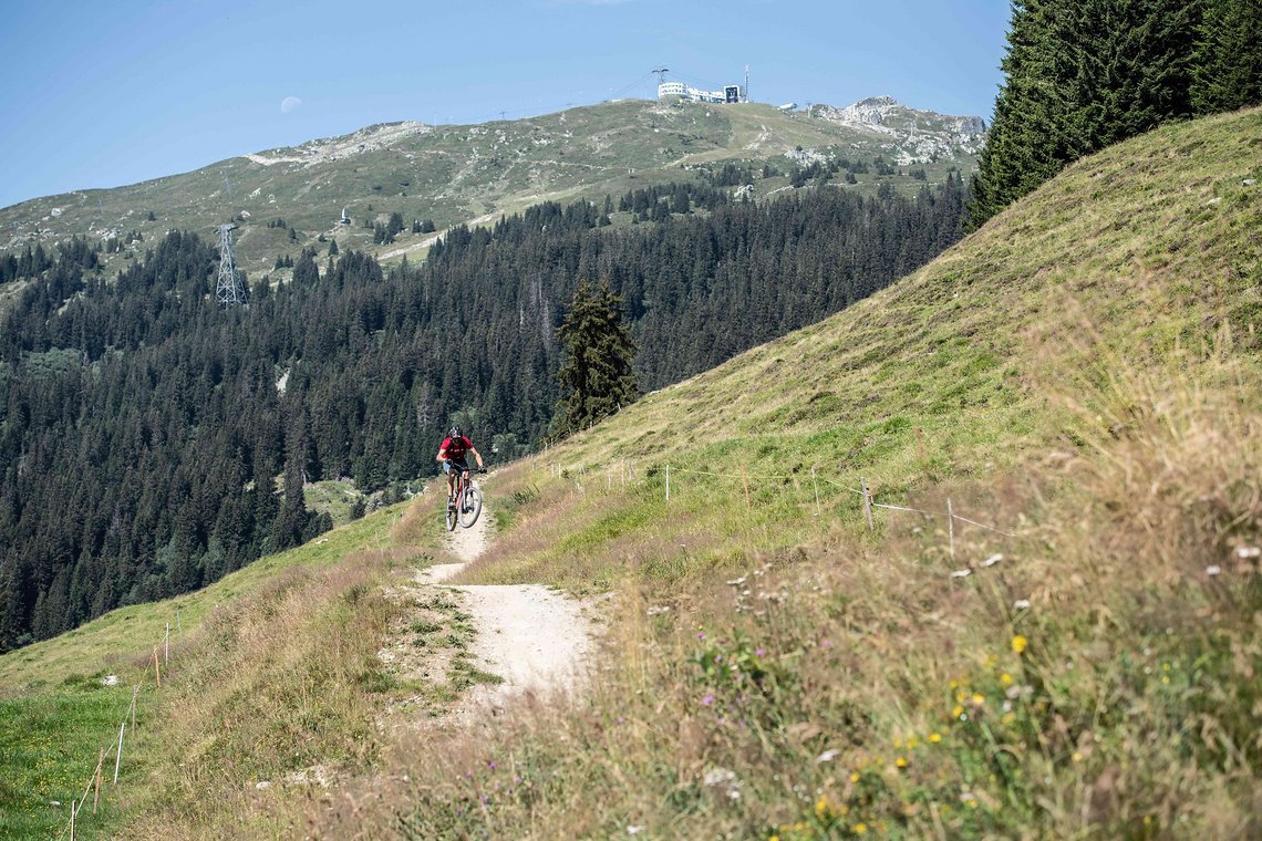 Bergab lies es der ehemalige Downhill-Racer natürlich ordentlich stehen.