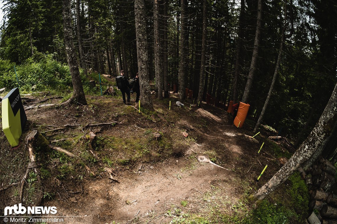 Nach dem See geht's direkt wieder in den Wald