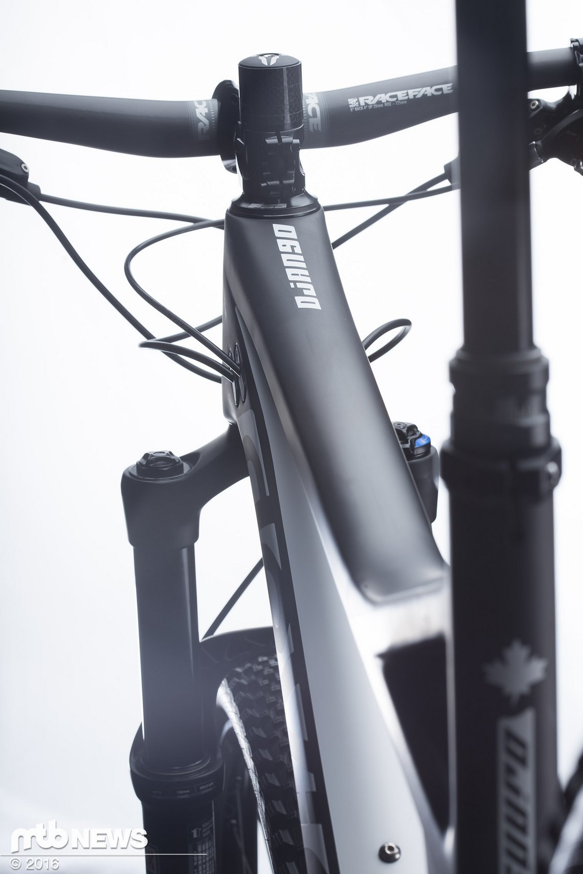 devinci django (12 von 17)
