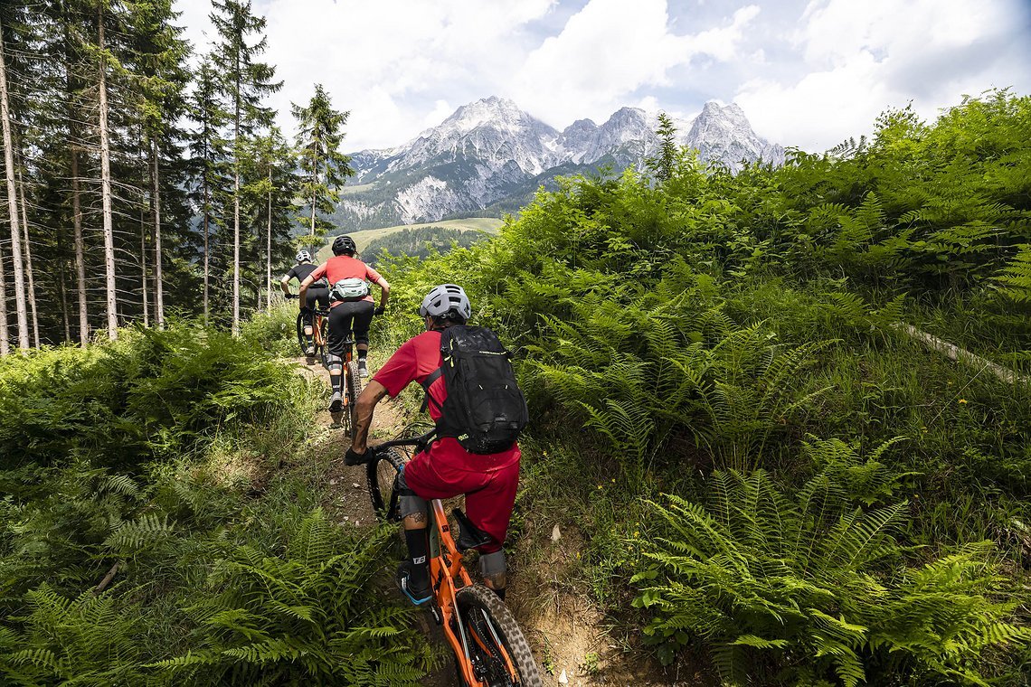Auf dem Schwarzleo-Trail geht es auf schmalen Wegen gen Tal.