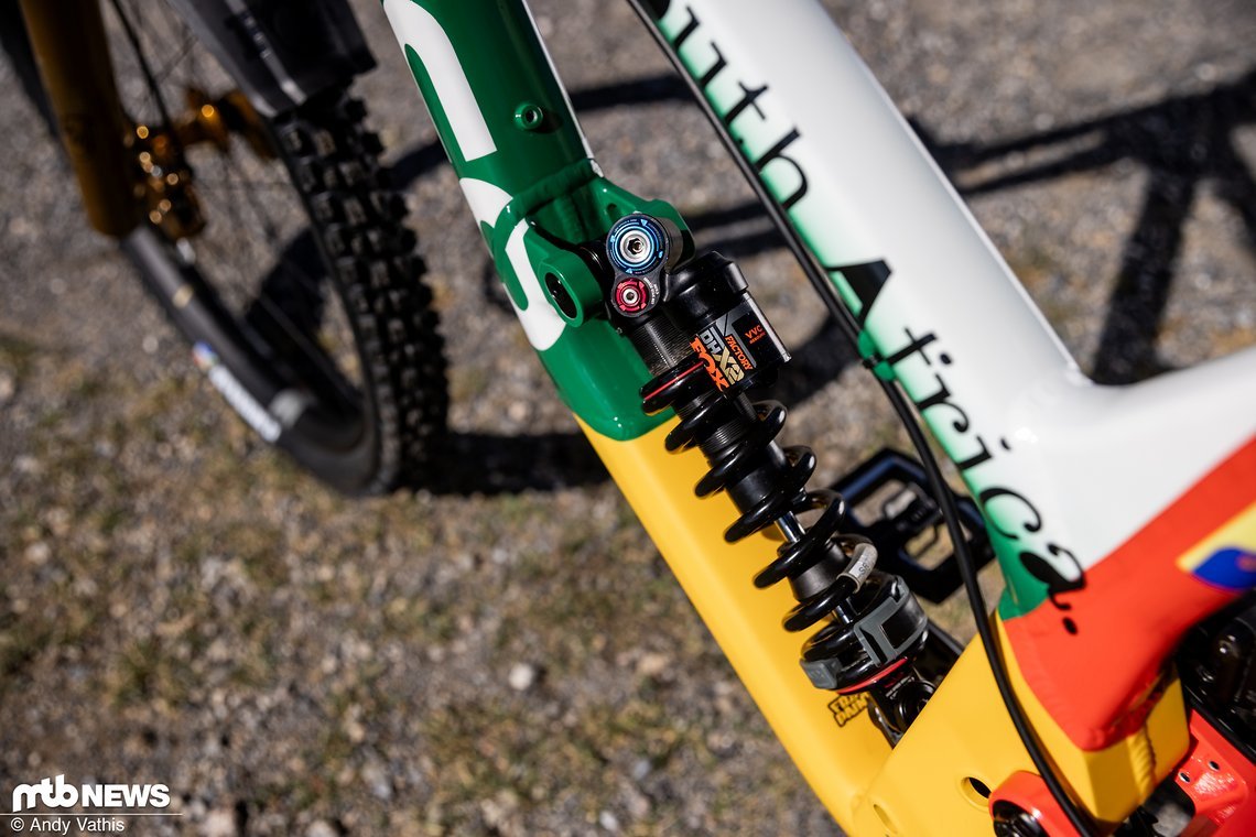 MTBNews