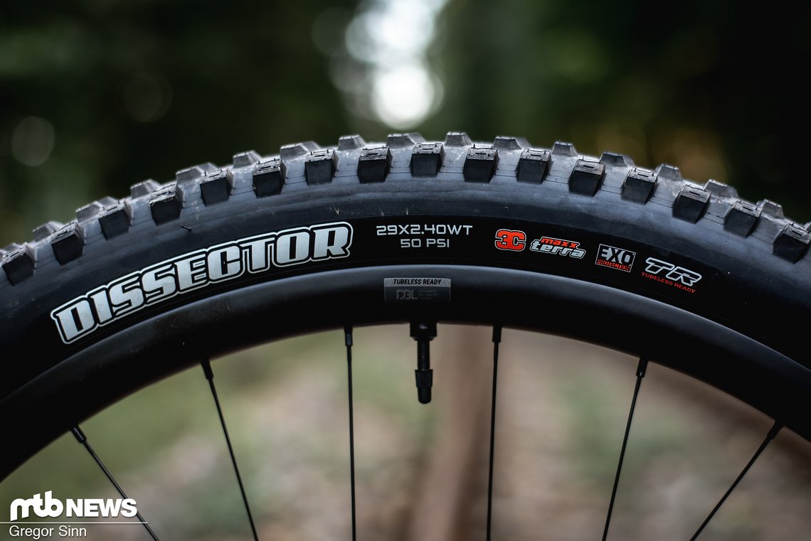 Hinten rollt der schnelle Maxxis Dissector-Reifen mit Exo-Karkasse …