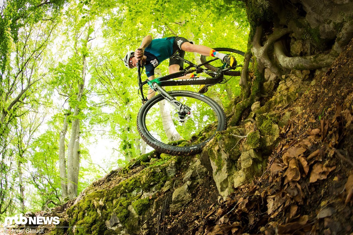 Ähnlich wie das Specialized Epic rollt das Cannondale Scalpel mühelos über größere Hindernisse und zeigte sich im Testalltag sehr kontrollierbar bergab