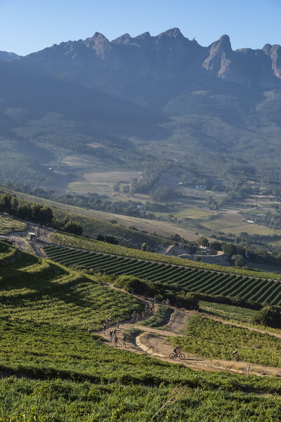 Riders in some vineyards during Stage 5 of the 2024 Absa Cape Epic Mountain Bike stage race from CPUT, Wellington to CPUT, Wellington, South Africa on 22 March 2024. Photo by Dom Barnardt /Cape Epic
PLEASE ENSURE THE APPROPRIATE CREDIT IS GIVEN TO TH