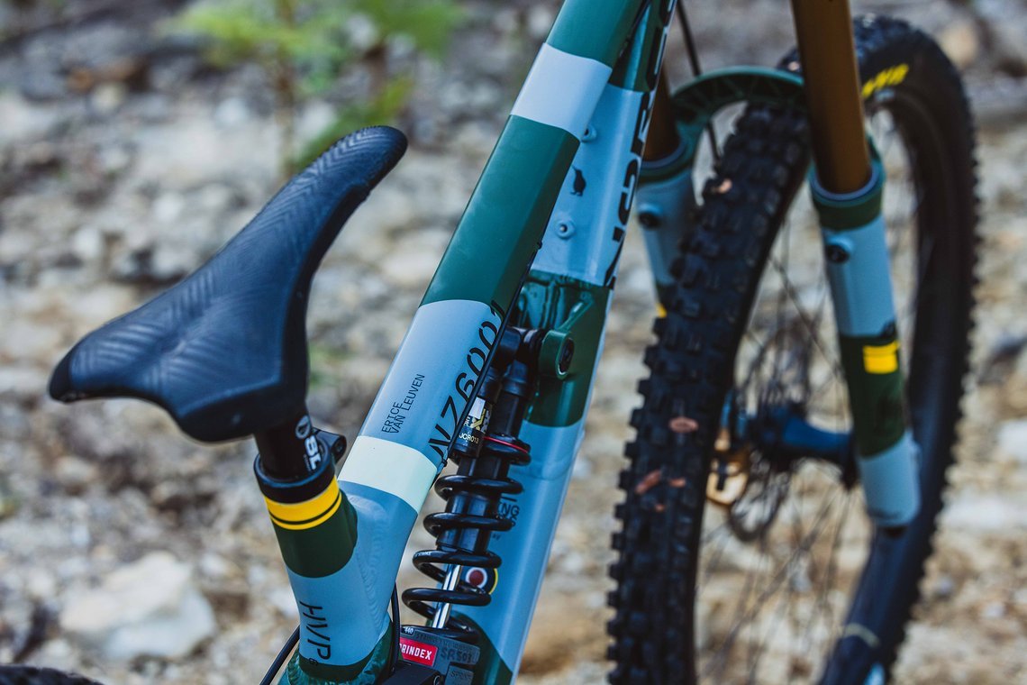 DG Hardline Tasmania Norco-21