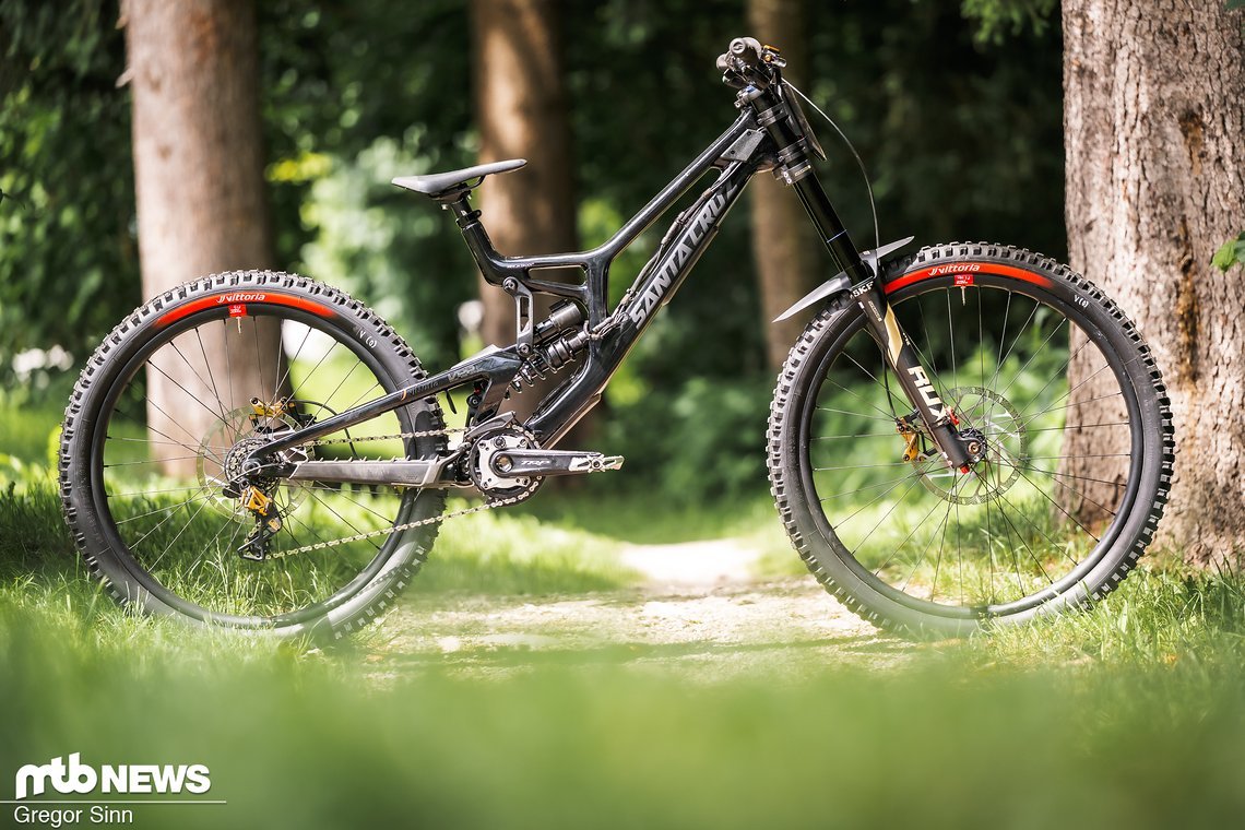 Das Santa Cruz V10 von Davide Palazzari aus dem Rogue Racing Team