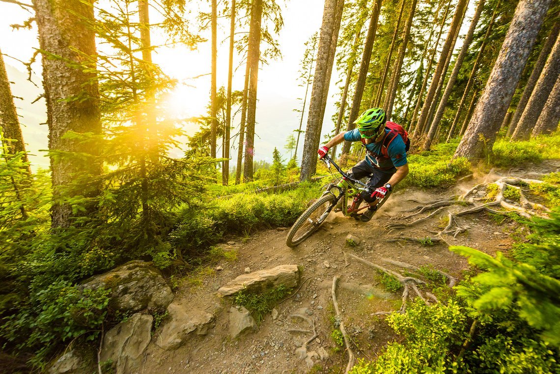 Daniel Schäfer in Saalbach