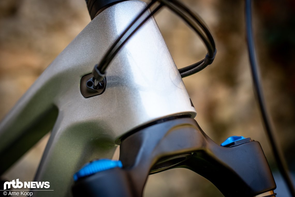 Canyon Strive-8204