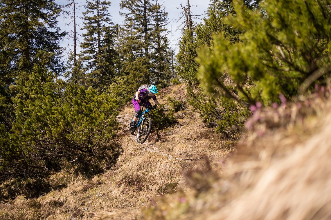 Trockene Trails und ...
