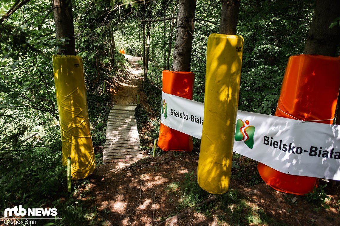 Eine Travese durch ein kleines Wäldchen führt entlang des bestehenden Enduro-Trails