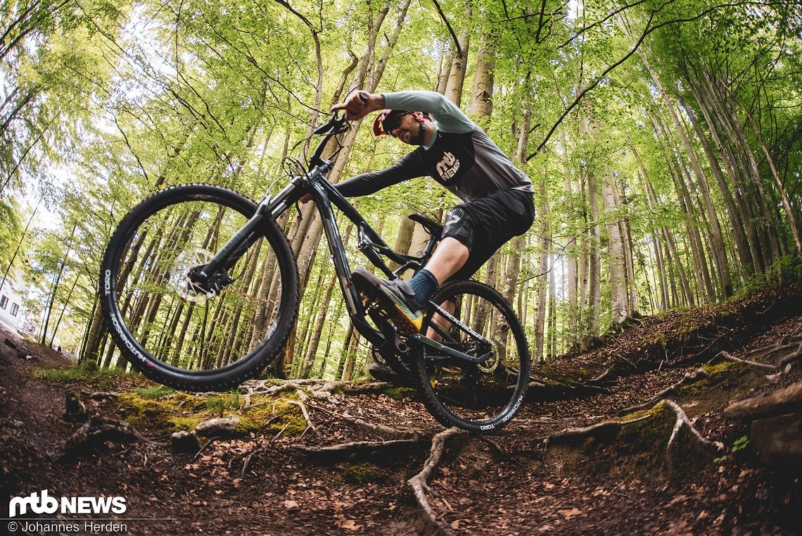 rockrider am 50s-23