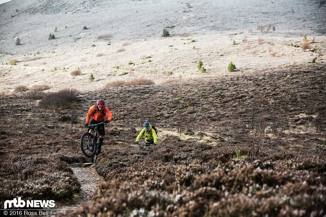 Ein spaßiger Trail ...