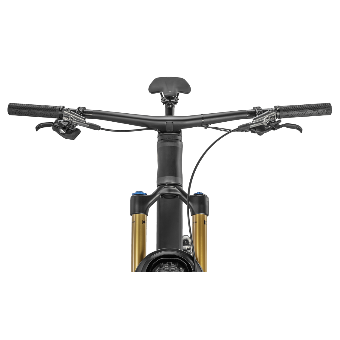 BOLD LINKIN 150 ULTIMATE 2022 STUDIO LEISER 008