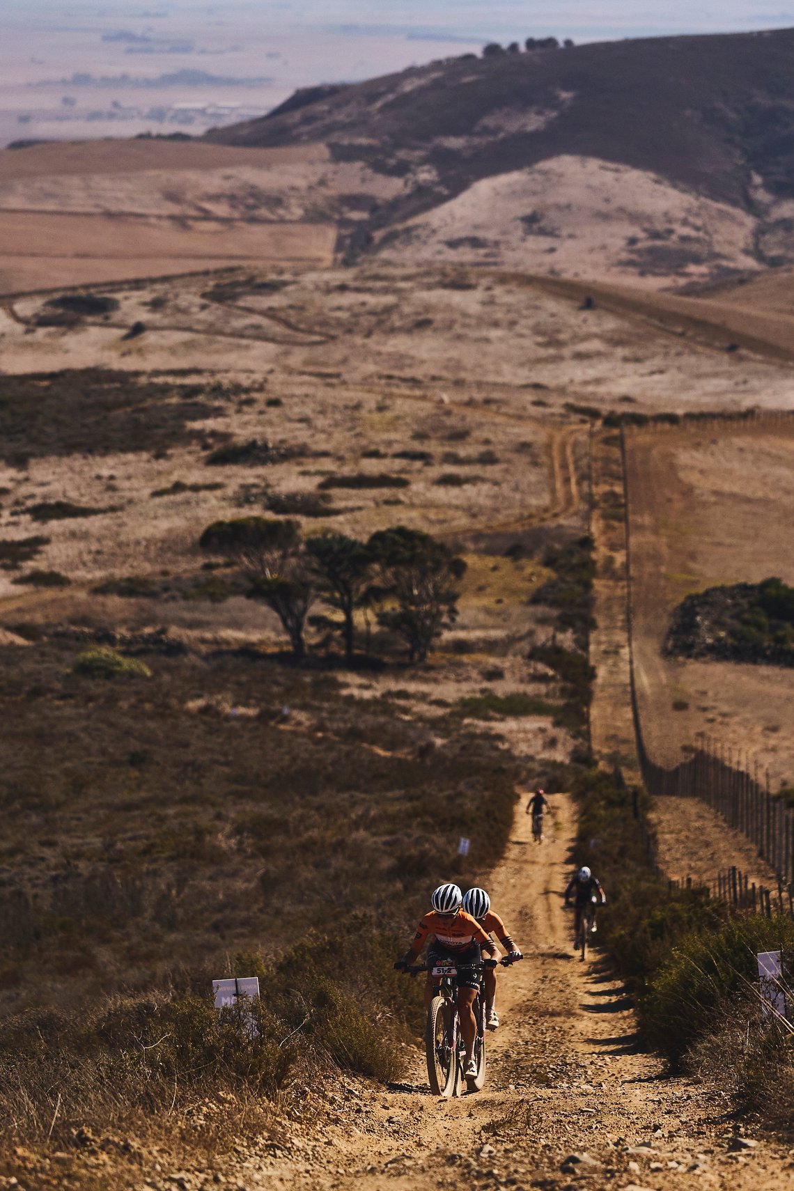 Toyota | Specialized during the Prologue of the 2025 Absa Cape Epic Mountain Bike stage race held at Meerendal Wine Estate, Cape Town, South Africa on the 16th March 2025. Photo by Michael Chiaretta/Cape Epic
PLEASE ENSURE THE APPROPRIATE CREDIT IS G