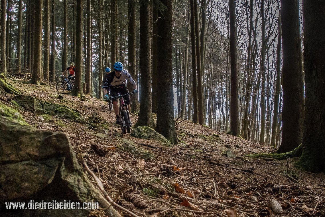 schöne Kurven durch Weiskirchens Nadelwälder