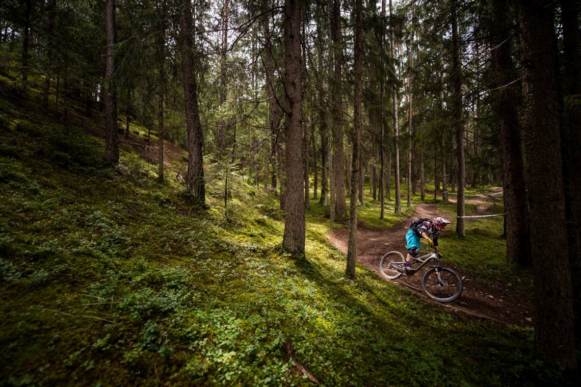 Traumtrail auf Stage 11