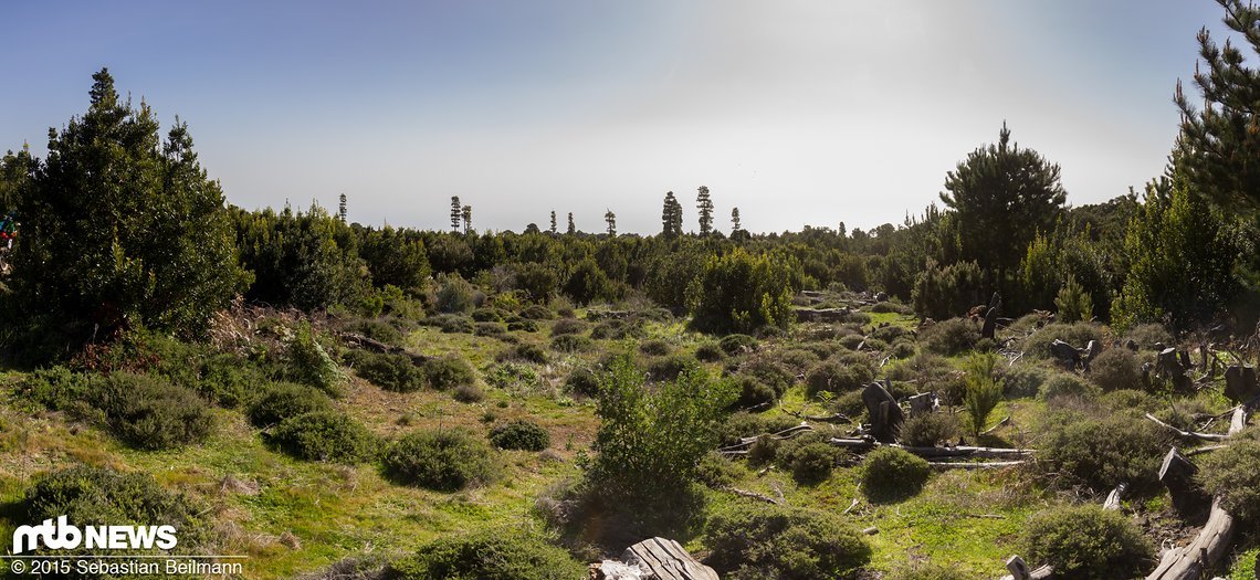 Die vielen verschiedenen Klima- und Vegetationszonen machen El Hierro extrem abwechslungsreich