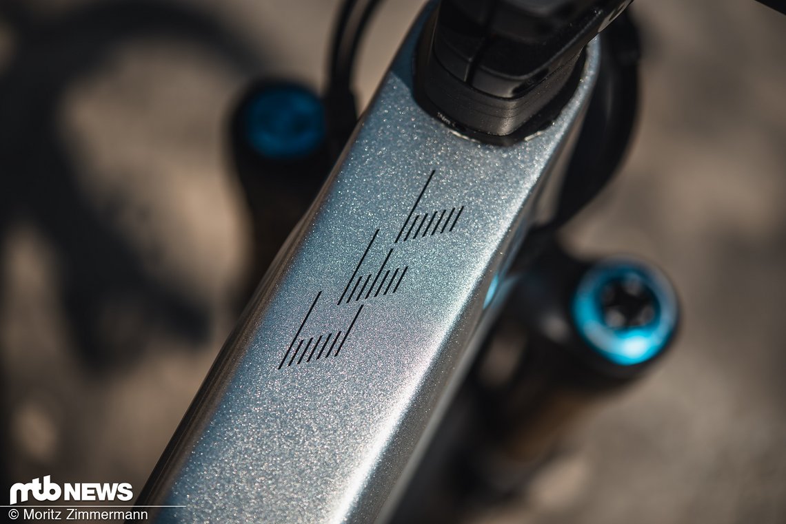 canyon-strive-produkt-3411