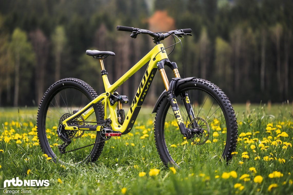 Pivot-Firebird-2591