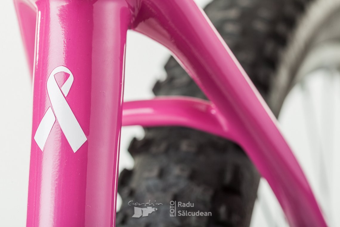 RS-pink-bike-8318