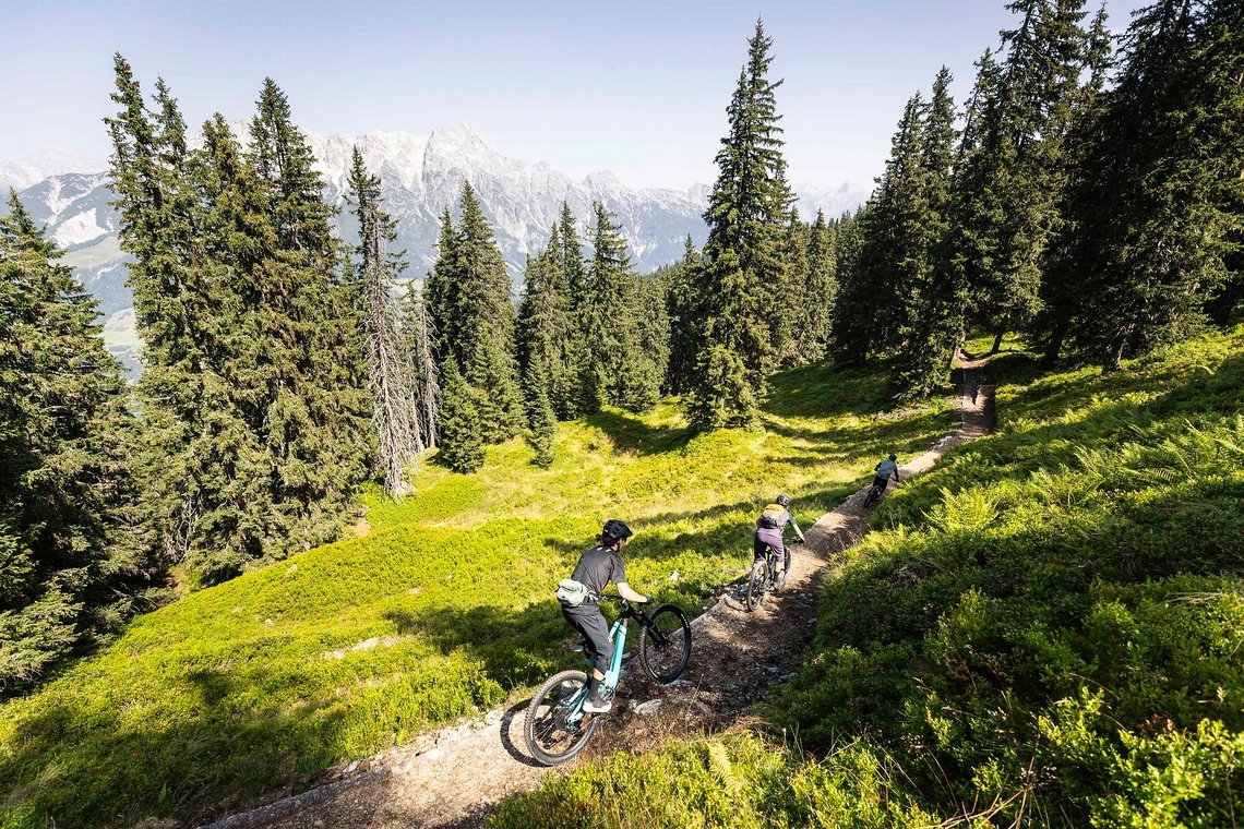 Der neue „AlteSchmiede" Trail führt auf 3,35 km über flowige Turns, Northshores und leicht technische Passagen.