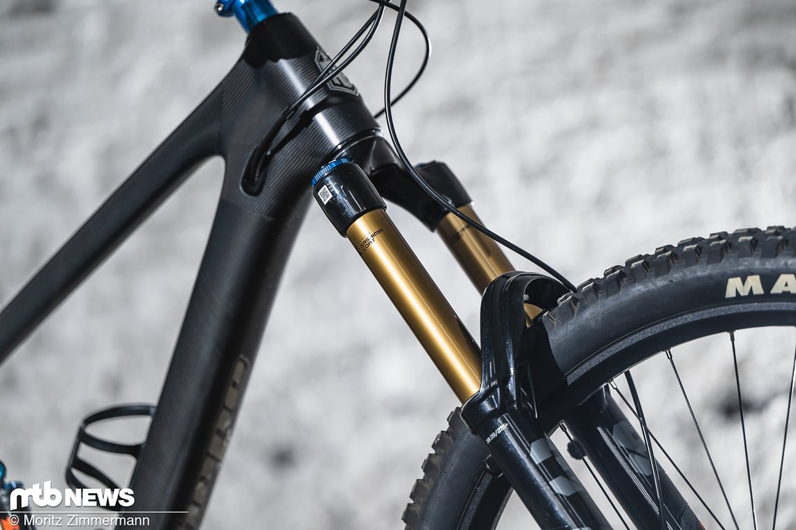 Das Testbike strahlte in güldenem Kashima …