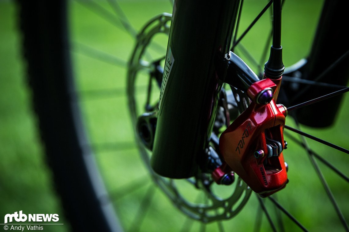 MTBNews19 MSA-1667