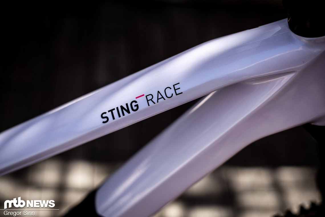 Cube-Sting-Race-3210
