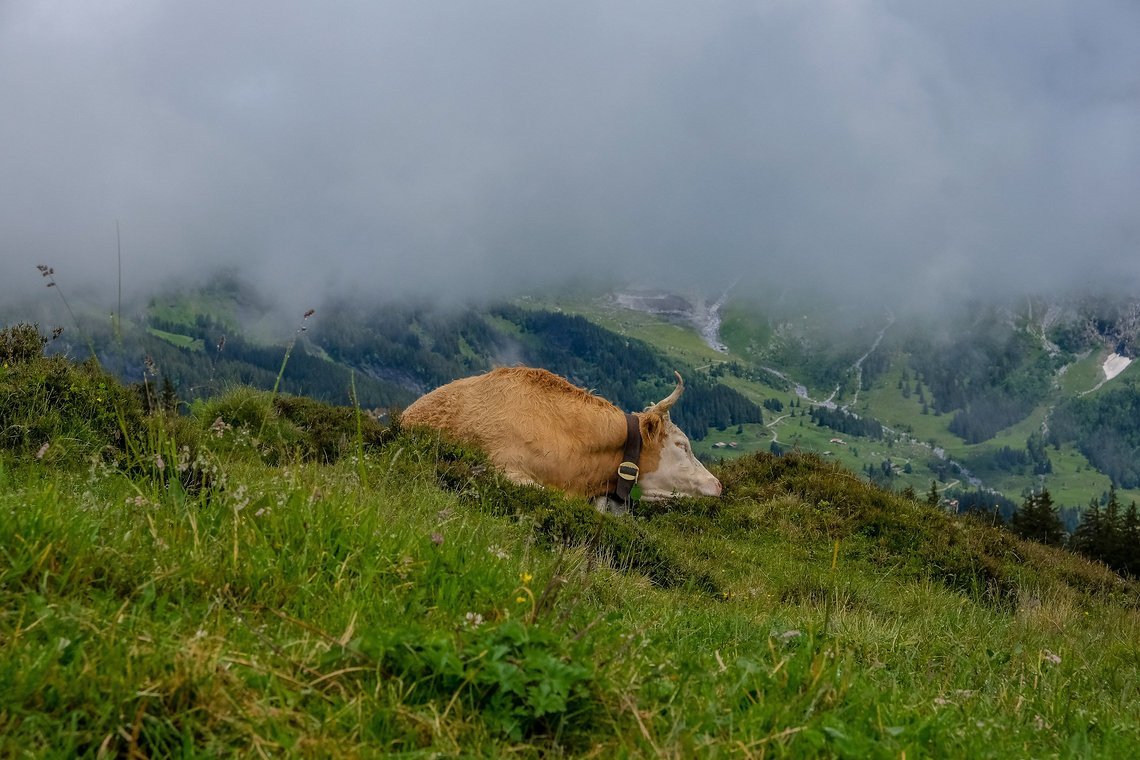 Nach einer kurzen Pause ...