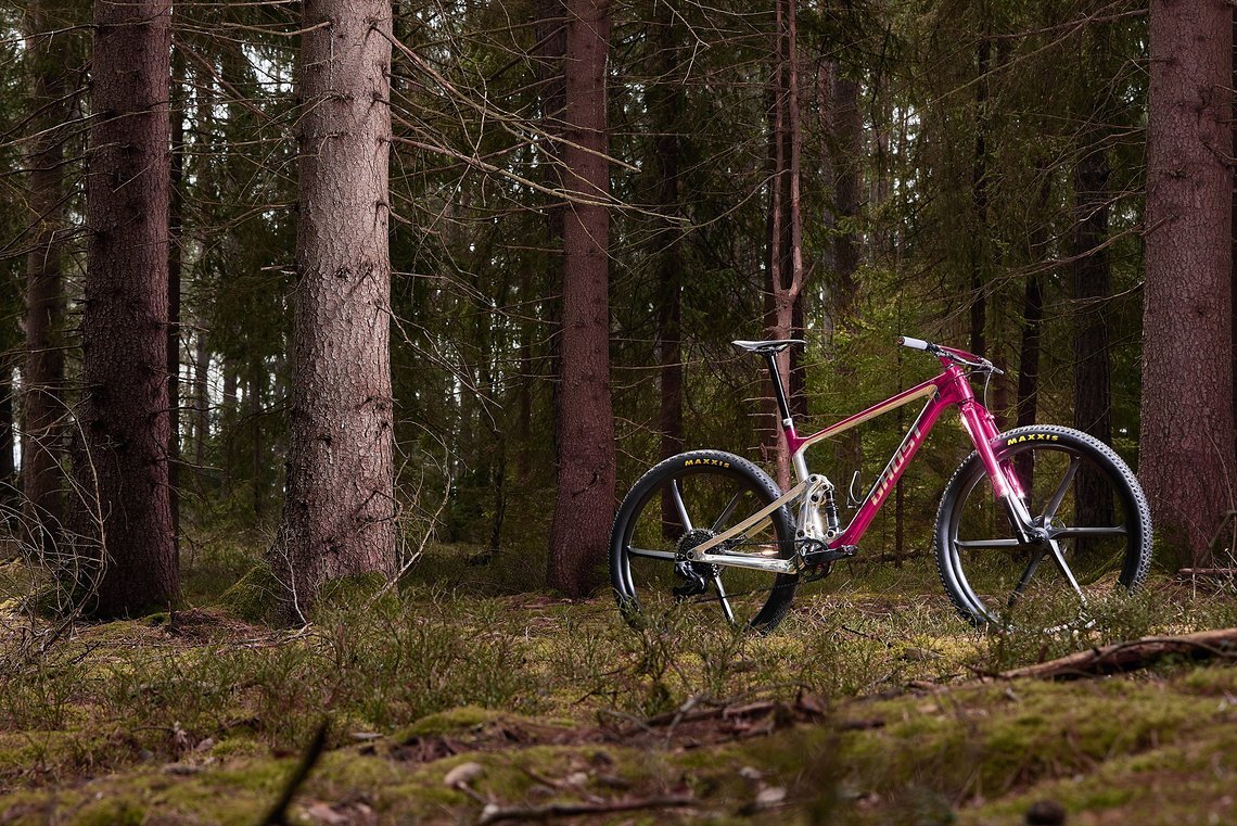 120 mm am Heck und ein ähnliches Fahrverhalten wie das Lector-Hardtail